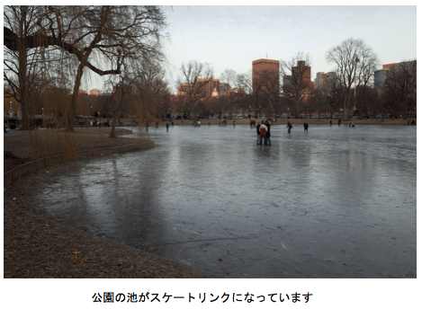 公園の池がスケートリンクになっています